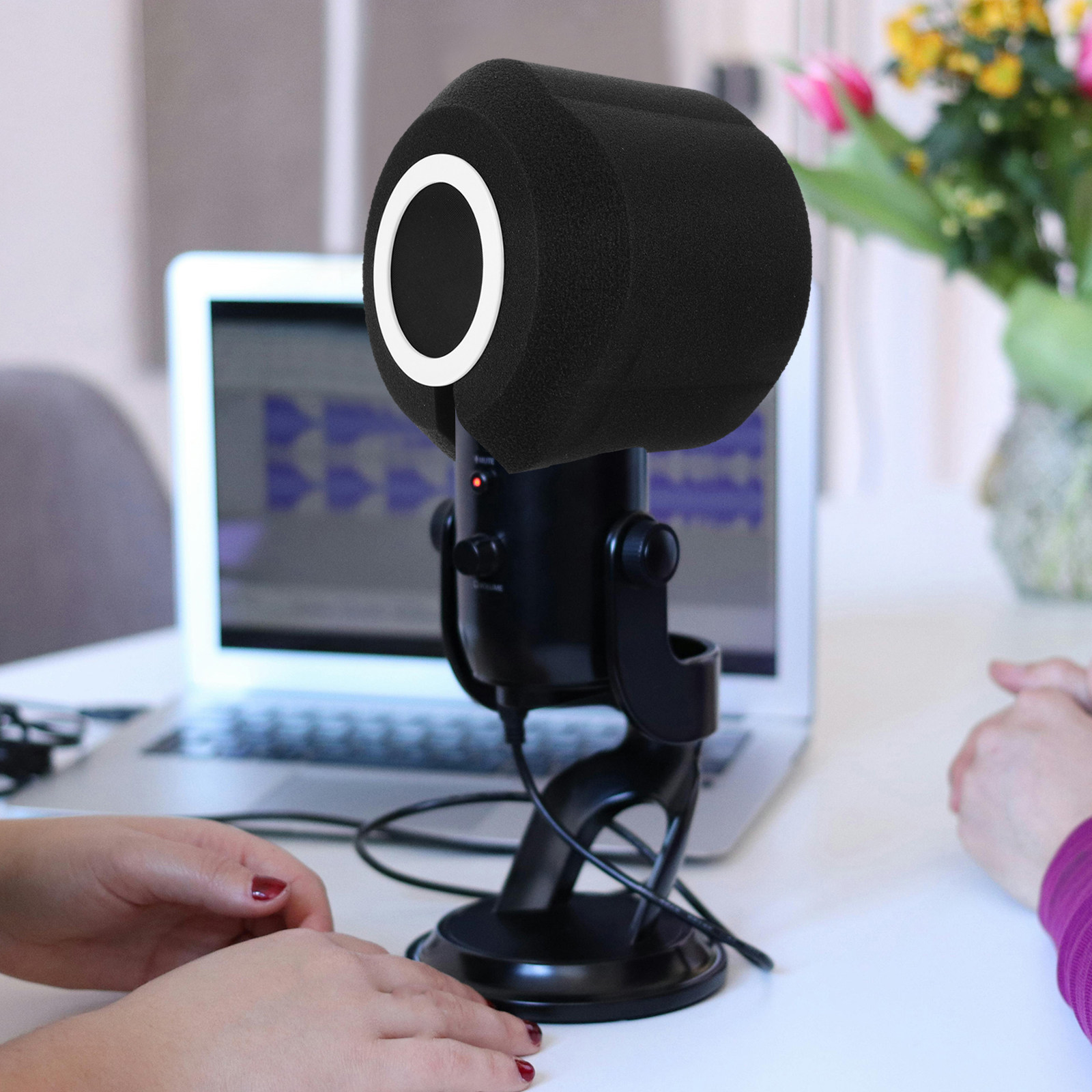 Akustischer Mikrofon-Isolation – Recording Pop Filter Bewertung und Preis